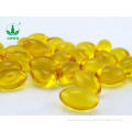 Wild Jujube Fruit Oil Soft Capsule